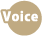 voice